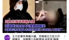 王力宏爆料范玮琪视频是真的吗,王力宏爆料范玮琪视频真实性揭秘
