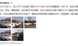 临沂男子爆料视频最新版,揭秘惊人真相！