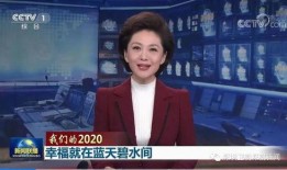 爆料深圳豪宅新闻联播,新闻联播揭秘高端房产市场新动态