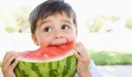 娱乐吃瓜懒猫儿