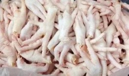 鸡爪养殖爆料怎么做的视频,视频教程带你轻松入门