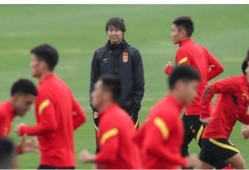 爆料中国男足视频回放下载,视频回放下载背后的故事