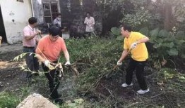 前安村挖沙新闻爆料事件,真相与争议的交织