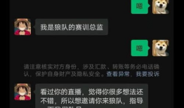王者狼队最新爆料消息,神秘英雄即将登场，游戏格局再掀风云