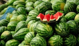 网红浮力吃瓜,揭秘娱乐圈幕后真相