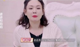 明星夫妻吵架爆料事件视频,视频揭露激烈争执瞬间