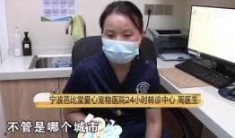 杨先生爆料电梯视频播放,电梯惊魂，视频揭露惊人一幕