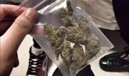 弹壳pg视频爆料