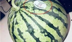 吃瓜网红太古里,太古里网红吃瓜风云录