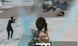 吃鸡女玩家爆料视频,游戏背后的真实故事