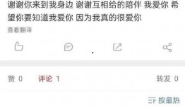 宋小璐的圈内爆料,独家爆料引热议