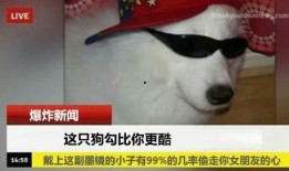 巴哥爆料反派是谁呀视频,揭秘谁视频中的神秘反派