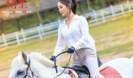 情圣完整版在线观看