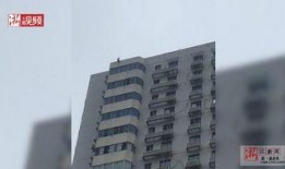 石家庄天苑爆料事件视频,视频揭露惊人真相