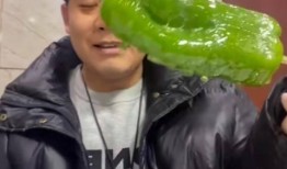 江阴网红吃瓜事件视频,揭秘网络舆论的风暴与真相