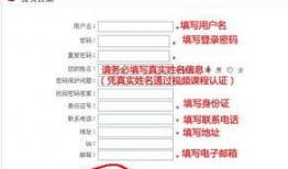 茶饮原料爆料流程视频,从源头到杯中