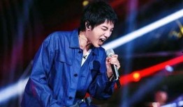 才华男歌手爆料视频,才华男歌手独家爆料，音乐背后的故事与心路历程