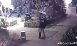 吃瓜宗门完整版免费,免费完整版大揭秘，带你领略神秘门派风采