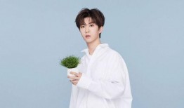 张婧仪爆料范丞丞视频,真相背后引热议