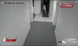 杨先生爆料电梯视频播放,电梯惊魂，视频揭露惊人一幕