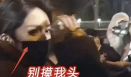 石家庄八仙爆料事件视频,揭秘事件背后真相