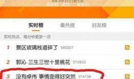 卓伟爆料小薇事件视频,揭秘娱乐圈惊人内幕