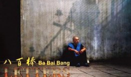 八百棒电影在线观看,传奇电影的在线观影之旅