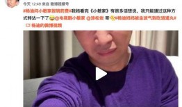 杨迪高中爆料事件视频播放,揭秘校园往事背后的真相