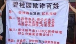 碧桂园最新事件爆料,揭秘事件背后真相与影响”