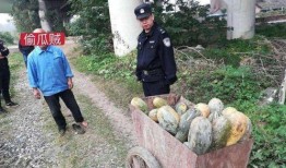 江山网红吃瓜事件