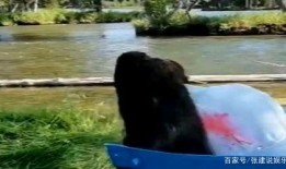 成毅狗仔爆料钓鱼视频