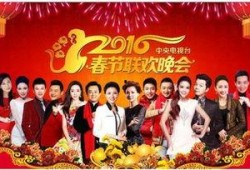 春晚人员爆料视频播放下载,人员爆料视频播放下载背后的故事