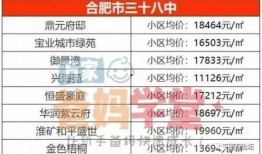 合肥学区房最新爆料,揭秘热门区域房价走势与名校周边房源抢购热潮