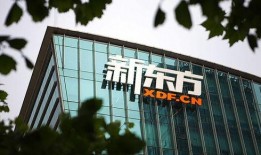 新东方官网爆料新闻,揭秘教育行业最新动态与趋势