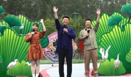 最近胶州爆料事件真相视频,还原背后真相与真相背后的真相