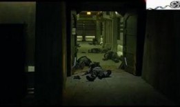 天启在线观看免费观看,免费畅享神秘启示之旅