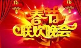 春晚人员爆料视频播放下载,人员爆料视频播放下载背后的故事