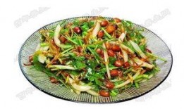 万能凉菜爆料视频大全下载,轻松学会各式凉菜制作技巧