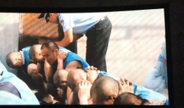 八百棒电影在线观看,传奇电影的在线观影之旅