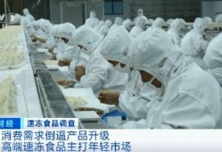 速冻食品工厂爆料视频教程,揭秘速冻食品生产全过程