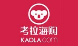 网易考拉最新爆料,揭秘跨境电商新动态与趋势