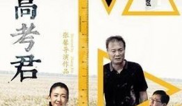 嗨高考君电影在线观看,青春记忆中的光影之旅