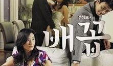 肚脐在线观看韩国,一场视觉与文化的盛宴