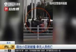 江苏女子爆料新闻视频大全