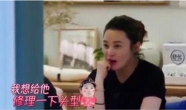 明星夫妻吵架爆料事件视频,视频揭露激烈争执瞬间