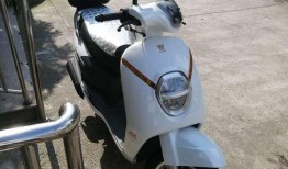 豪爵萌妹最新爆料视频大全,精彩瞬间大盘点