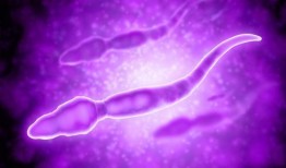 巨大精子在线观看