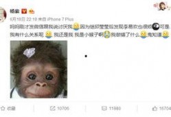 杨紫最新爆料贴吧微博,揭秘娱乐圈幕后故事