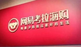 网易考拉最新爆料,揭秘跨境电商新动态与趋势