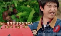 娱乐圈内部爆料华晨宇,揭秘明星背后的故事